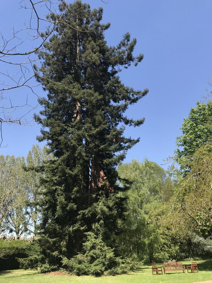 Chambre D'Hote Manoir De Clairbois Larcay Kültér fotó