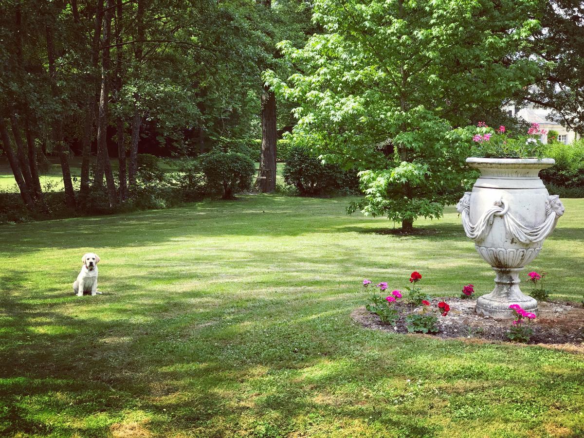 Chambre D'Hote Manoir De Clairbois Larcay Kültér fotó